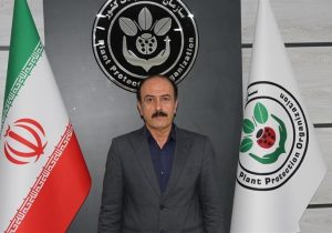 افزایش ۲۰۰ هزار هکتاری مبارزه علیه آفت سن گندم