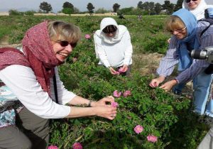 تحقق گردشگری کشاورزی از مسیر مولدسازی روستاهای همدان