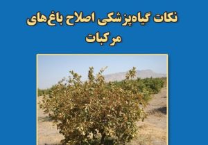 نکات گیاهپزشکی اصلاح باغ های مرکبات