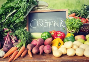 تولید ۱۵۰ قلم محصول ارگانیک در کشور