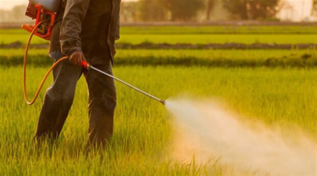 هشدار محققان در مورد استفاده از آفت‌کش‌ها
