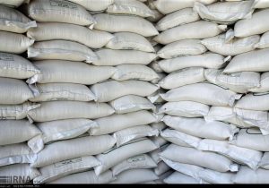 واردات برنج ممنوع شد!