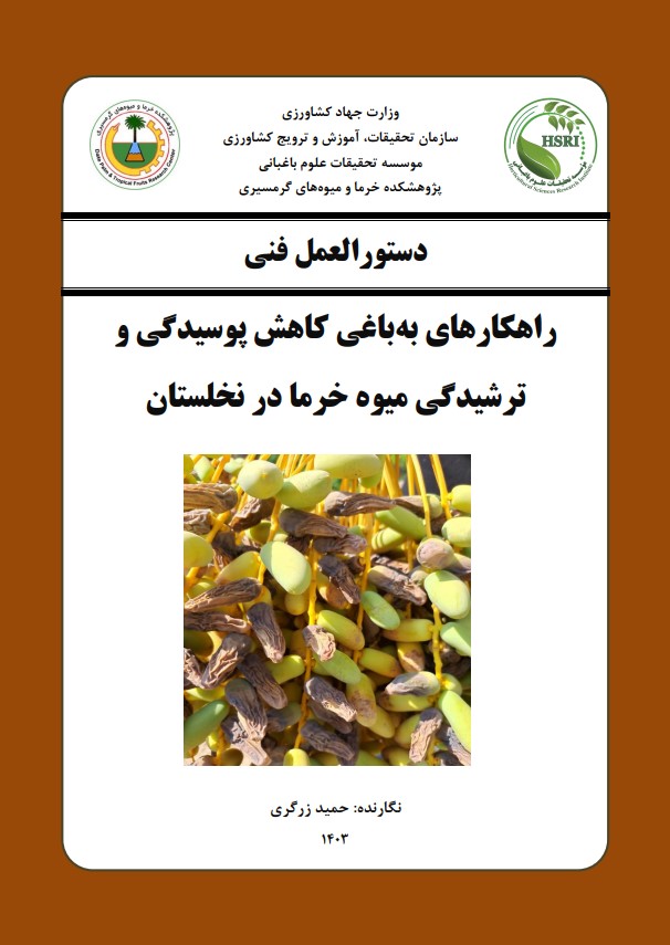 راهکارهای کاهش پوسیدگی و ترشیدگی میوه خرما در نخلستان