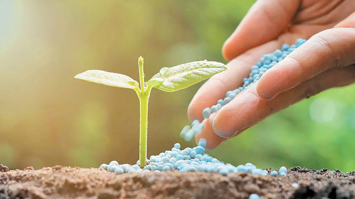 ایران به صادر کننده کودهای فسفات و پتاس تبدیل می‌شود!