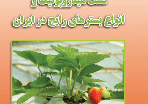 کشت هیدروپونیک و انواع بسترهای رایج در ایران