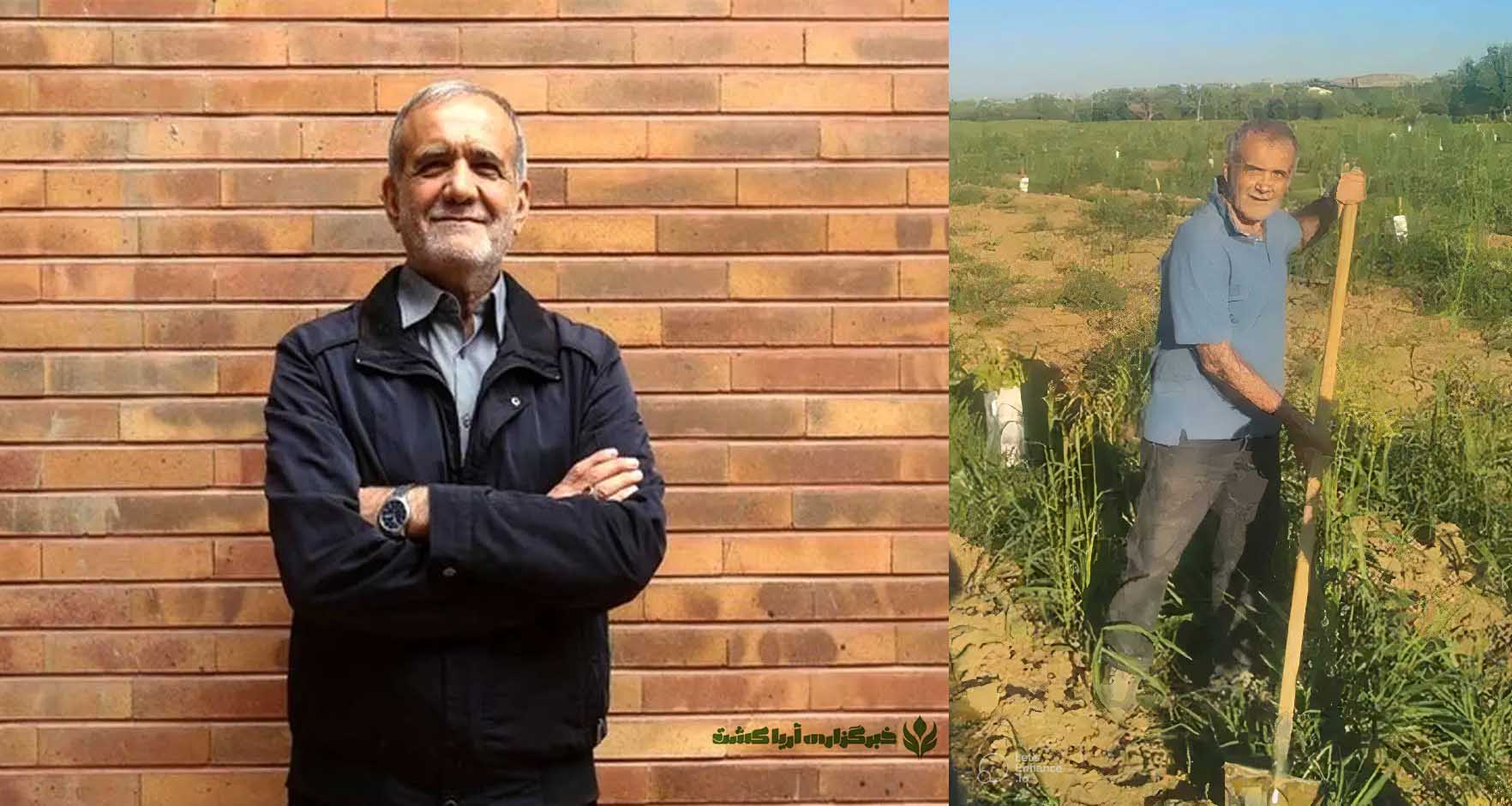 اظهار نظرات مسعود پزشکیان در بخش کشاورزی