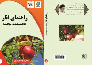 راهنمای کاشت، داشت و برداشت انار