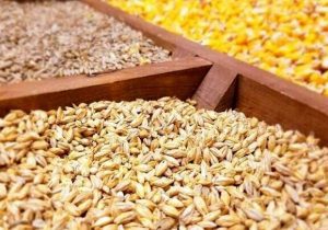 برای تأمین نهاده‌های تولید بخش کشاورزی اقدام عاجل شود