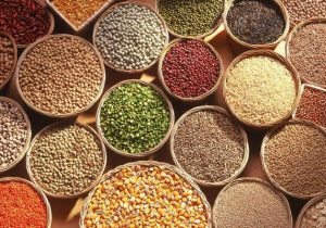 کشاورزان بذر را صرفا از مراکز معتبر تهیه کنند.