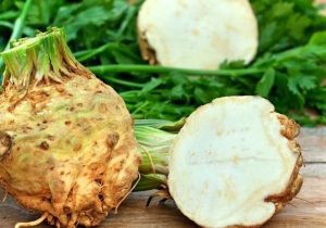 تلاش محققان ایرانی برای حفظ گونه‌ انحصاری کرفس کوهی