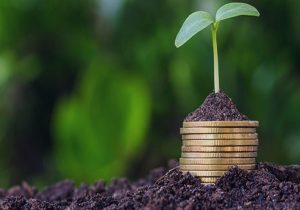 ۱۰۰ درصد محصولات زراعی تحت پوشش بیمه اجباری قرار می‌گیرند