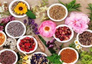 هدفگذاری ۶۰۰ هزارتن تولید گیاهان دارویی در برنامه هفتم