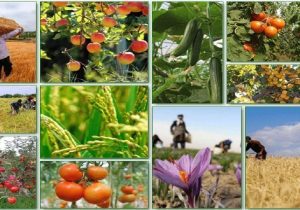 کالا‌های اساسی رصد هوشمند و پایش می‌شوند