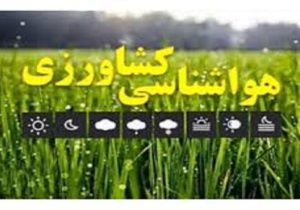 کشاورزان نسبت به جمع آوری سرشاخه و میوه‌های آلوده اقدام کنند