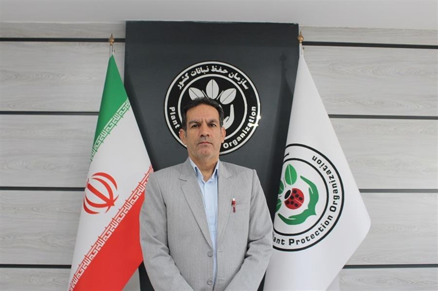 پایش مزارع برای ردیابی آفت کرم برگ‌خوار پاییزه ذرت ایلام