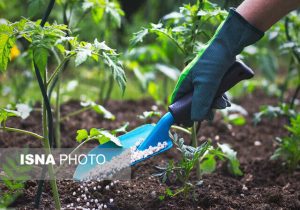 بیش از ۹۰ درصد کودهای کشور، تولید داخل است