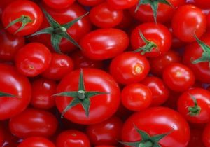 بازار گوجه فرنگی از اوایل آذر متعادل می‌شود