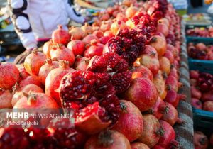 هشدار اتاق اصناف به گران فروشان یلدایی