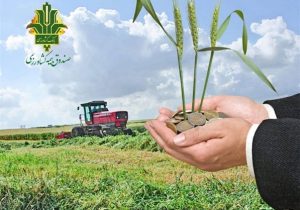 بیمه اجباری گندم و دانه‌های روغنی در سال زراعی جاری