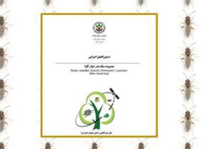 مدیریت سنک بذرخوار کلزا (به‌روزرسانی ۱۴۰۳)