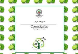 مدیریت آفت تریپس گل هاوایی روی مرکبات