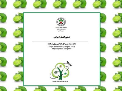 مدیریت آفت تریپس گل هاوایی روی مرکبات