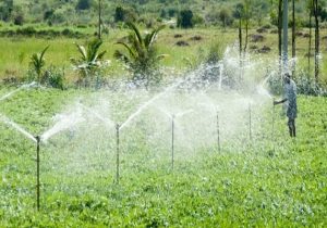 چگونه می‌توان کشاورزی را سودآور کرد؟