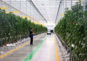 تعرفه گاز گلخانه‌ها تعیین شد