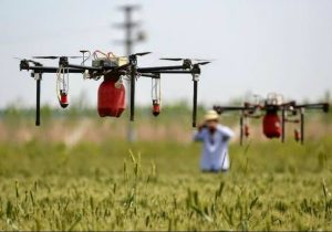 مبارزه پهپادی با علف های هرز گندم و جو کارایی ندارد