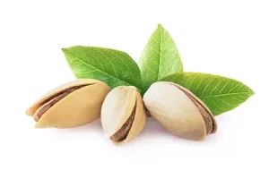 آلودگی به مایکوتوکسین‌ها از چالش‌های اصلی صادرات پسته