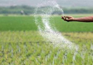 توزیع کود شیمیایی کشاورزان به زودی آغاز می‌شود