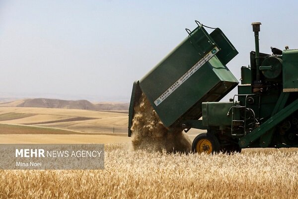 صندوق‌های حمایت از توسعه کشاورزی‎‎ پشتیبان کشت قراردادی