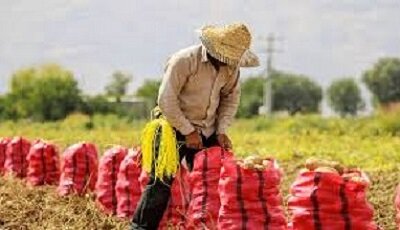 امروزه دیگر زمان آن نیست که با هر شیوه‌ای کشاورزی کنیم