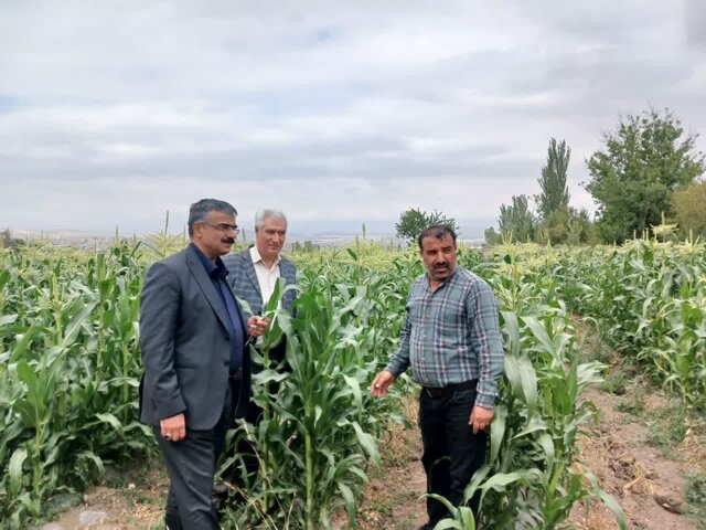 تأکید بر نوآوری تغذیه گیاهی و تعامل با کشاورزان در آذربایجان شرقی