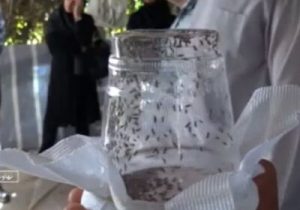 تغییر استفاده از سموم شیمیایی برای دفع بیولوژیکی آفات + فیلم