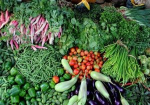 پیشتازی فارس در کشت نشایی صیفی‌جات