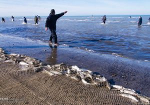 اجرای طرح ماهی‌گیری مشارکتی به صورت پایلوت در استان‌های ساحلی کشور ‌