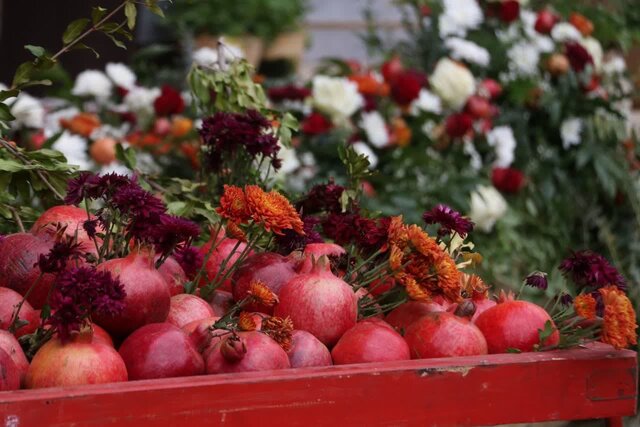 چهارمین جشنواره ملی انار ساوه با رنگ‌وبوی اقوام ایرانی برگزار می‌شود