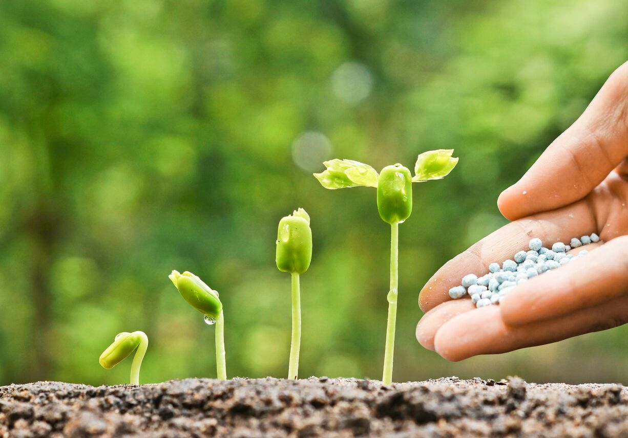 کودهای نانویی چگونه ضامن امنیت غذایی جهان هستند