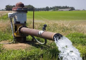 کشت محصولات مقاوم به خشکی در دستور‌کار قرار دارد/ بخش کشاورزی ۸۰ درصد آب کشور را مصرف می‌کند