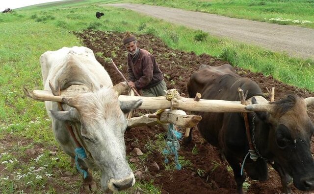 بَردو؛ میراثی که در سایه تکنولوژی به فراموشی سپرده شد