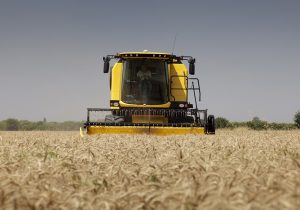 تبدیل اراضی آبی به دیم در سال‌های اخیر