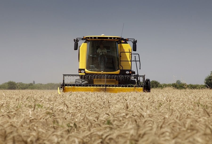 تبدیل اراضی آبی به دیم در سال‌های اخیر