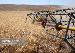 کشاورزی حفاظتی، راهی برای مقابله با تغییرات اقلیمی و حفظ امنیت غذایی در زنجان