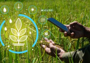 استفاده از هوش مصنوعی در تحقیقات گیاه‌پزشکی ضروری است